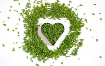 corazon cilantro corazon cilantro